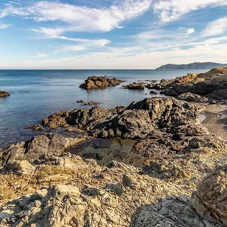 Carboneras 471 Apartamento Con Vistas A Primera Linea De Mar * Girona